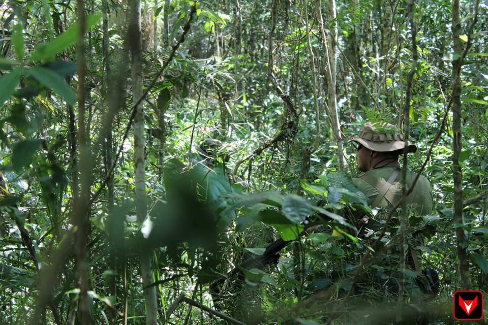 22323029356140077156929