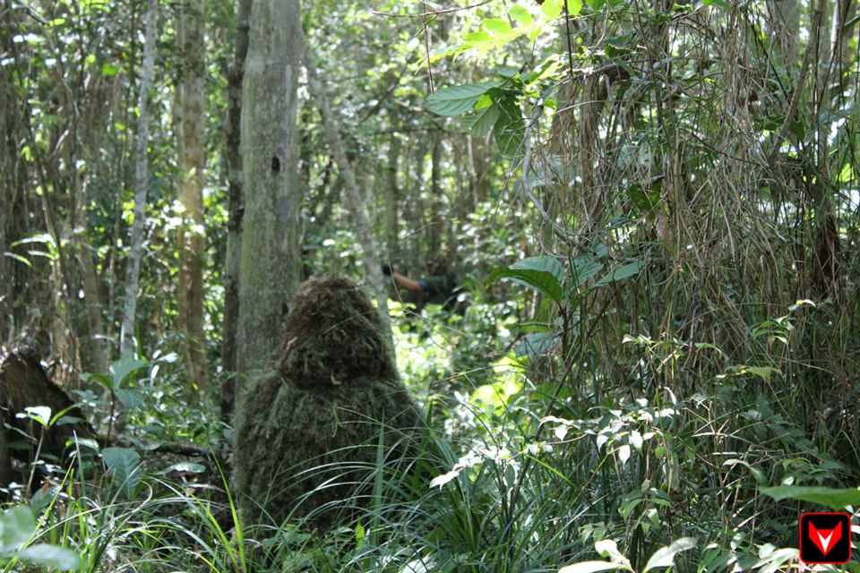 22358129356047743832857