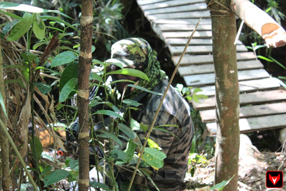 32616293561017438274130