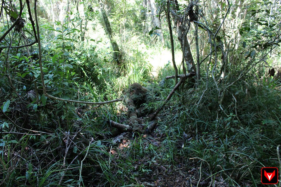 52565429356039077167011