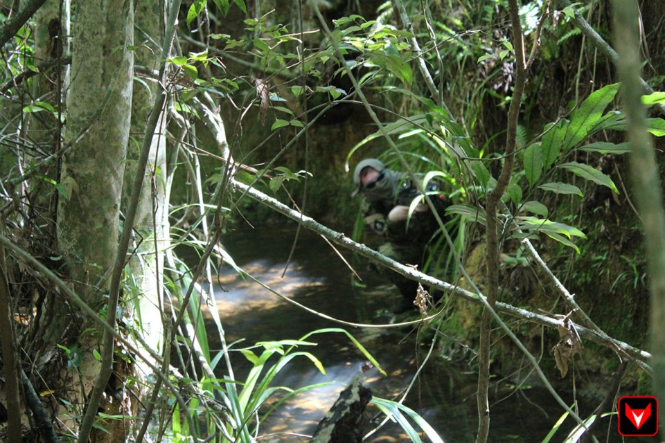 60221929356175077153413