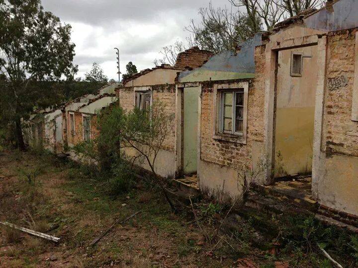 10553390_688207131255518_551017538065387440_n