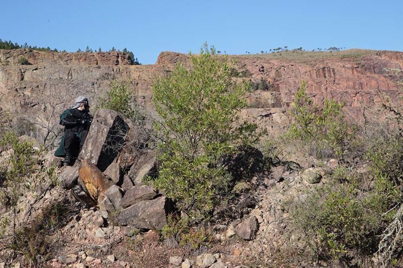 10592622_666379436788061_573651099429549015_n