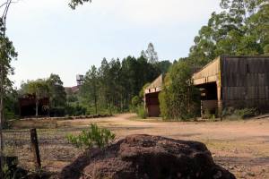 11836667_864109686991319_856530598768838431_n